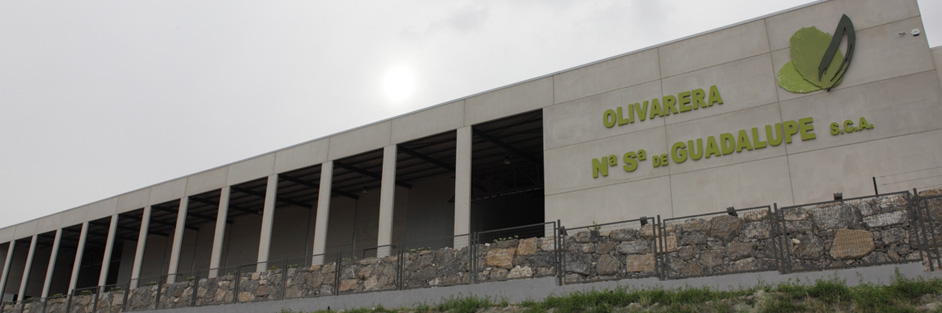 Cooperativa Nstra Sra de Guadalupe Baena